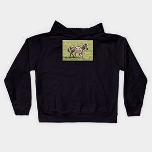 Zebra, Adult and Foal, Ngorongoro Crater, Tanzania Kids Hoodie